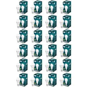 Philips 8.5W Emergency LED Bulb | Rechargeable LED Bulb with In-Built Battery Backup | B22 Base | Energy Saving Inverter Bulb for Power Cuts | Cool White | Pack of 24 - Magic DealsEmergency BulbMagic DealsMagic DealsPhilips 8.5W Emergency LED Bulb | Rechargeable LED Bulb with In-Built Battery Backup | B22 Base | Energy Saving Inverter Bulb for Power Cuts | Cool White | Pack of 241