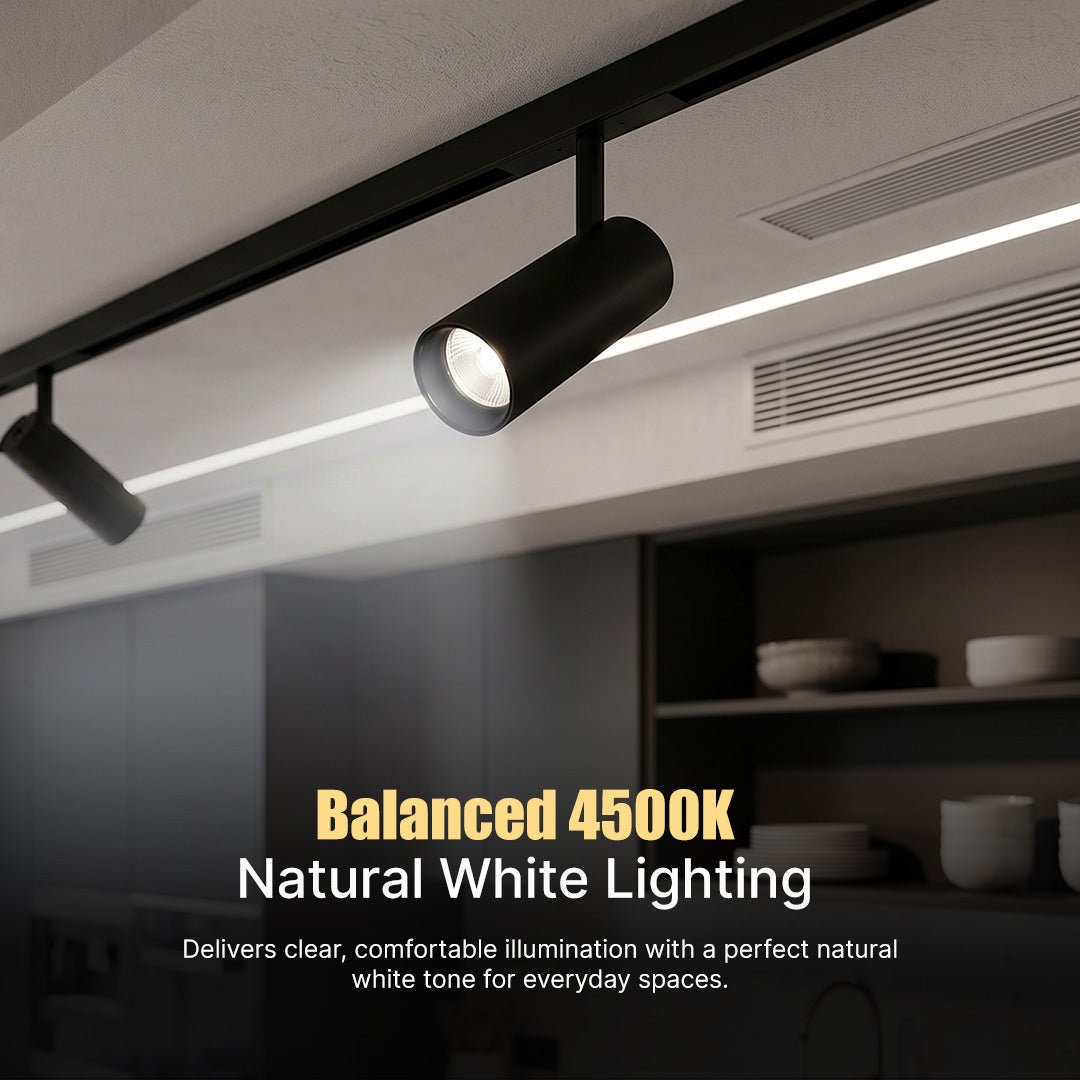 PHILIPS Webber 12W LED Track Spot Light | Adjustable Spotlight for Accent & Task Lighting | Sleek Black Finish | Energy - Efficient LED | Natural White, Pack of 1 - Magic DealsTrack Spot LightMagic DealsMagic DealsPHILIPS Webber 12W LED Track Spot Light | Adjustable Spotlight for Accent & Task Lighting | Sleek Black Finish | Energy - Efficient LED | Natural White, Pack of 1712w led track spot light